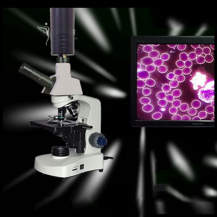 Vinmax A drop of blood detector HD professional blood analysis CT microscope blood cell analyzer